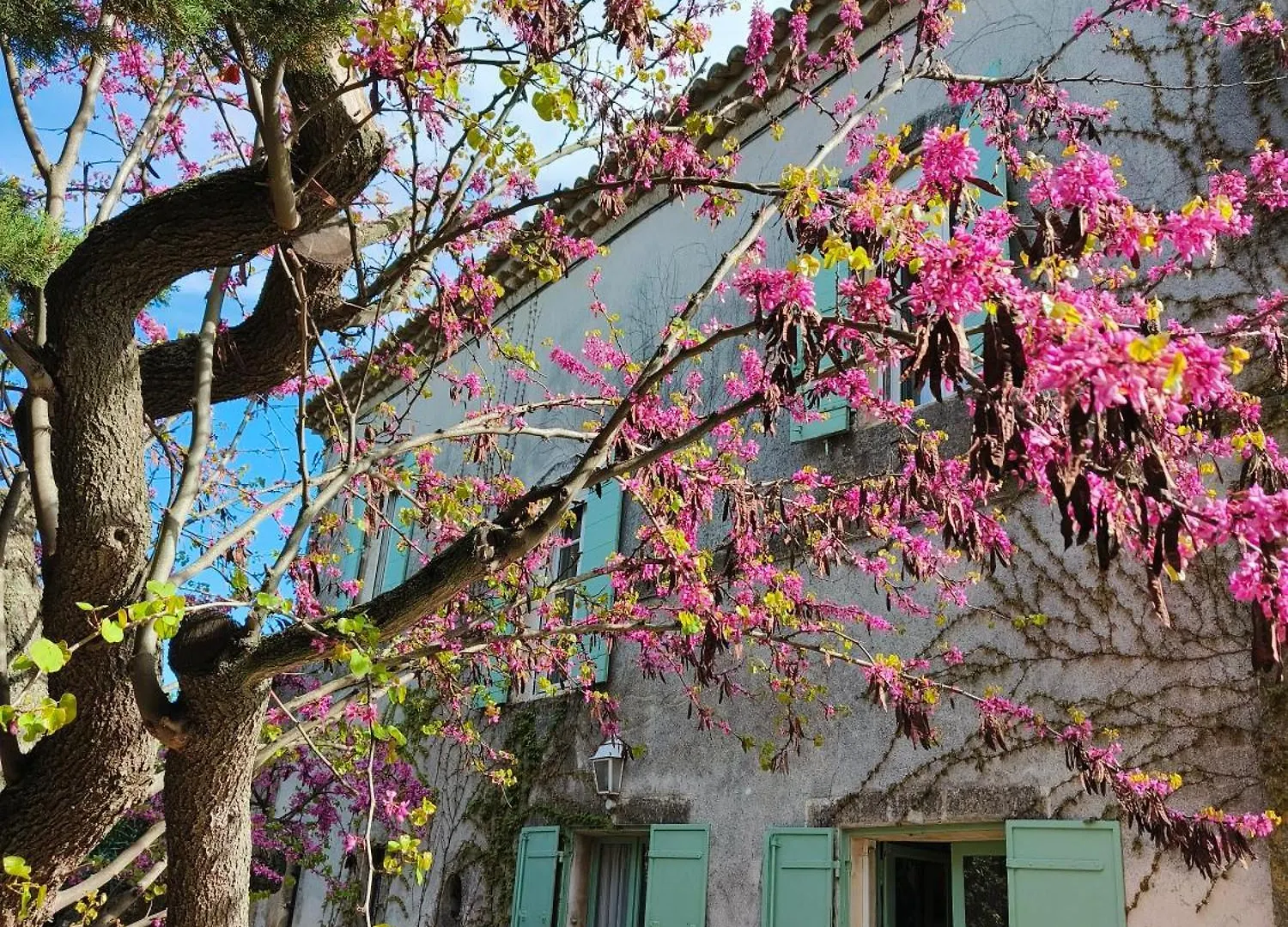 La Folie Mas Provencal Climatise Avec Piscine Bed & Breakfast Arles 0*,  France