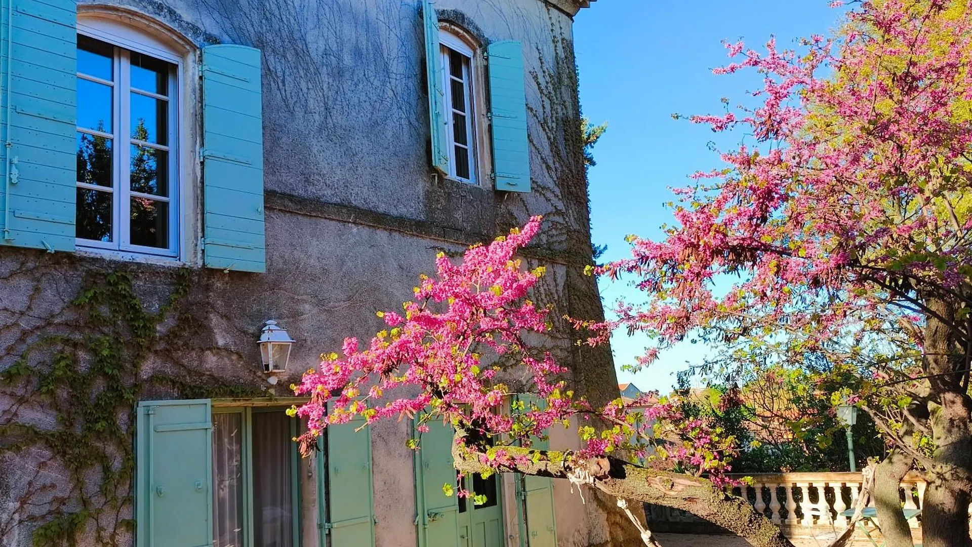 La Folie Mas Provencal Climatise Avec Piscine Bed & Breakfast Arles France