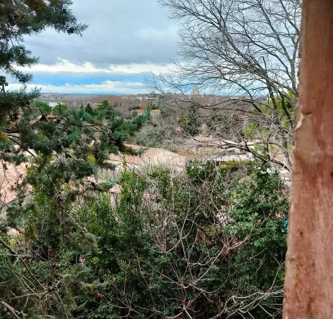 La Folie Mas Provencal Climatise Avec Piscine Bed & Breakfast Arles France