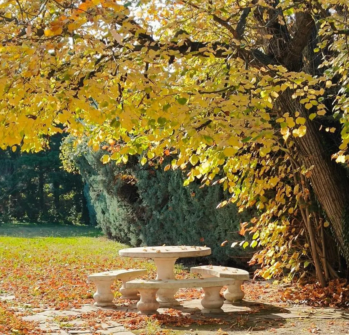 La Folie Mas Provencal Climatise Avec Piscine Bed & Breakfast Arles 0*,  France